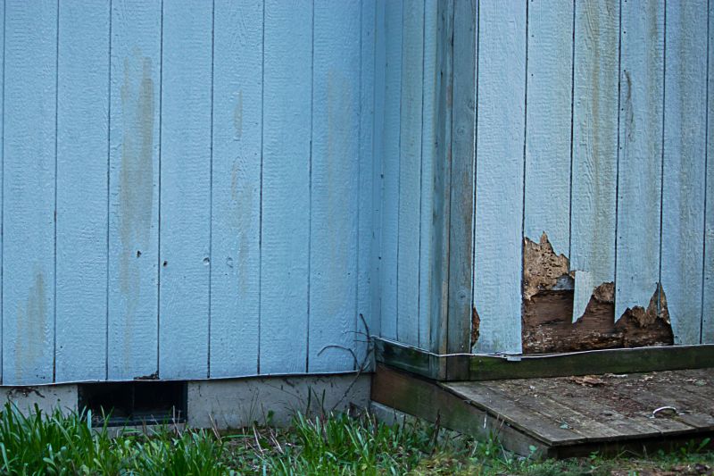 Siding Repair Services