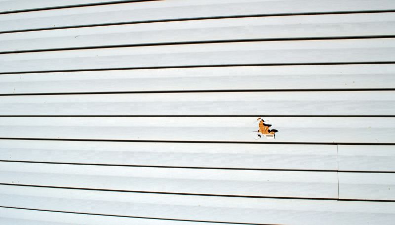 Vinyl Siding Repair Work in Progress